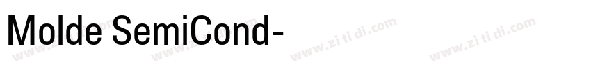 Molde SemiCond字体转换